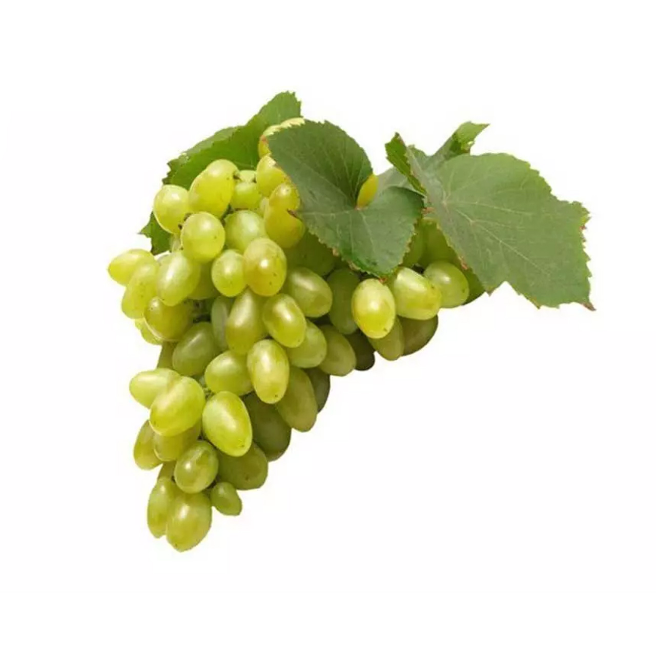 انگور رطبی ممتاز 1000 گرمی