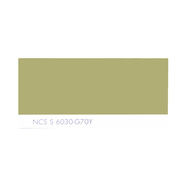 رنگ روغنی سفارشی ساندورا کد NCS S 6030-G70Y 1000 گرمی