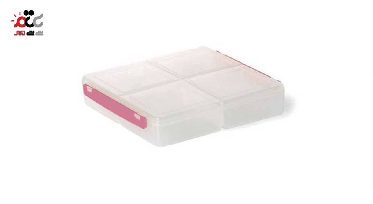 ظرف فریزری کوچک لیمون مدل چهار خانه کد 01