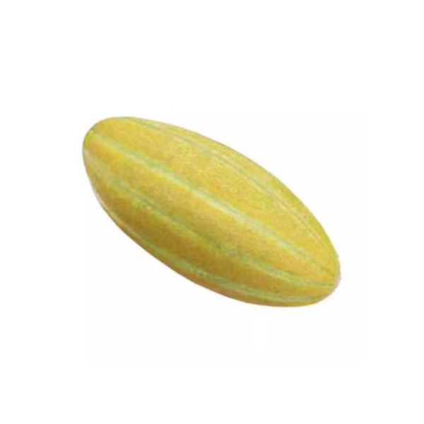 خربزه مشهدی (تحویل یک روزه)