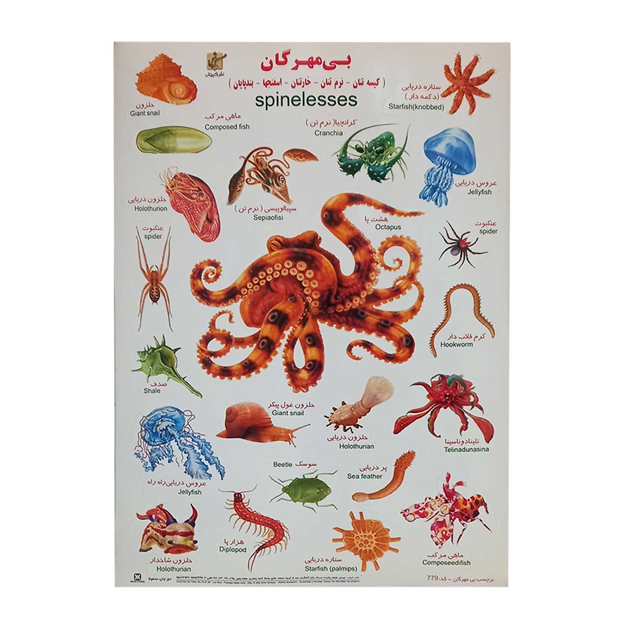 برچسب کودک آموزشی طرح بی مهرگان سایز A4  کد 779