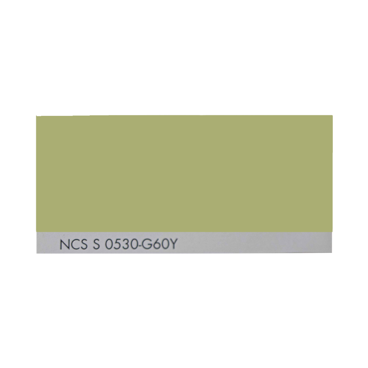 NCS S 0530-G60Y 