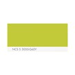 NCS S 3050-G60Y
