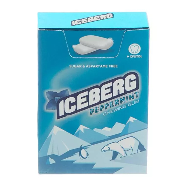 آدامس جار نعنا آیس برگ 60 گرمی