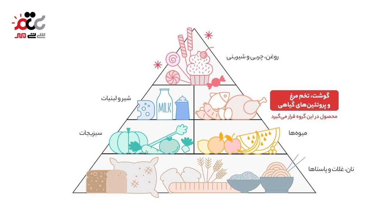 سیب زمینی وجز نوبر سبز 900 گرمی