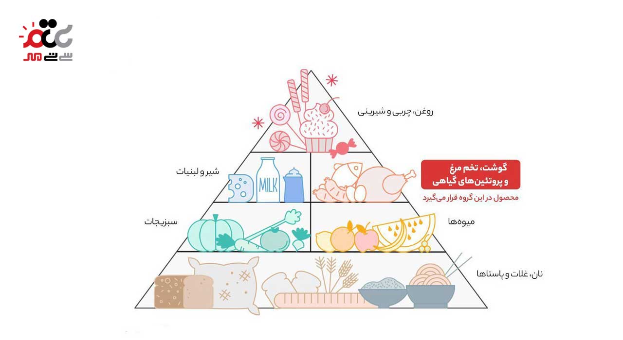 جوجه کباب بال و بازو مکزیکی کیمبال 900 گرمی