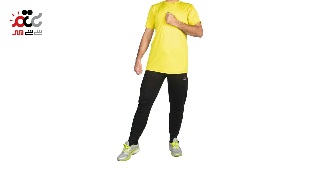 تی شرت مردانه فلامنت اعلا کد 747