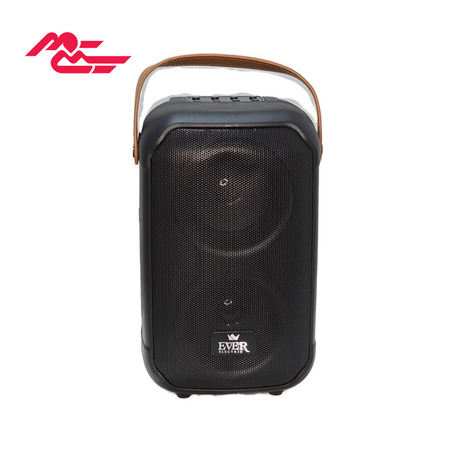 اسپیکر بلوتوثی قابل حمل اور الکتریک مدل EVER-858