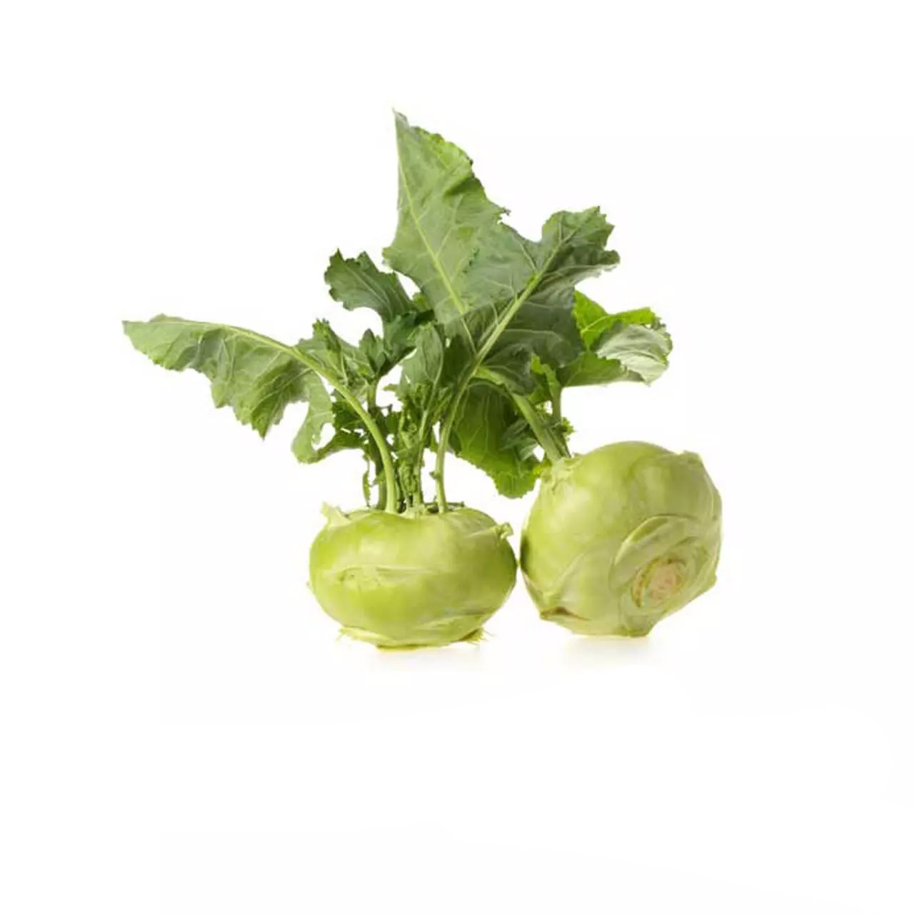 کلم ممتاز - 1 کیلوگرم