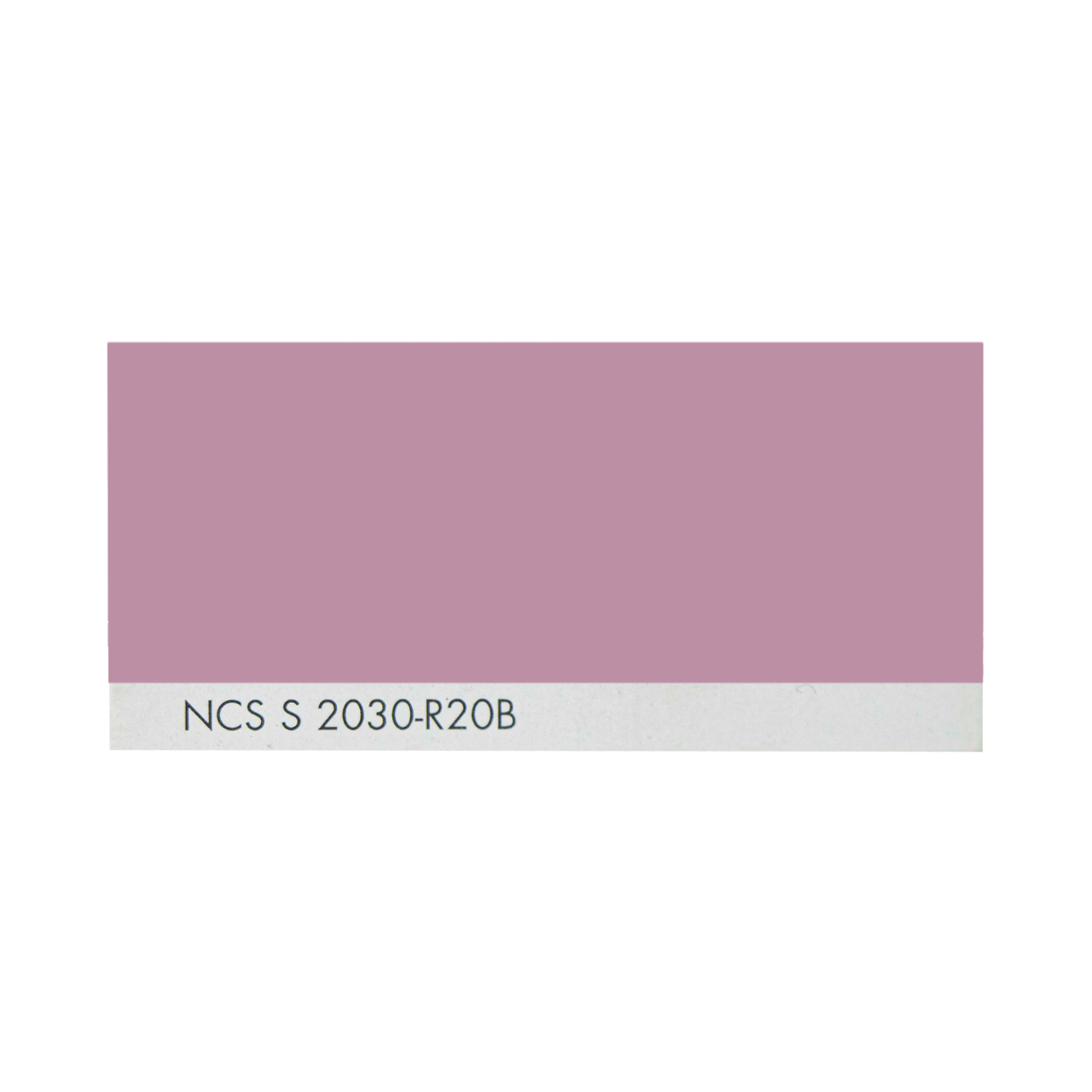 NCS S 2030-R20B