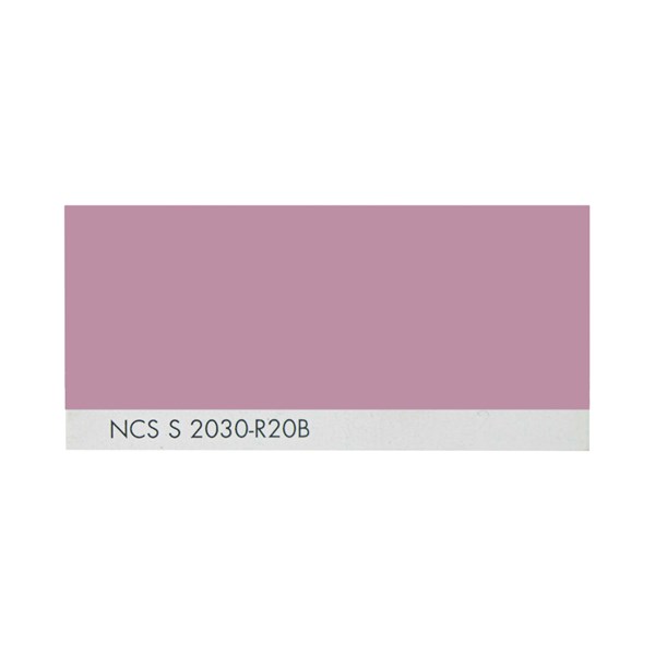 رنگ روغنی سفارشی ساندورا کد NCS S 2030-R20B 1000 گرمی