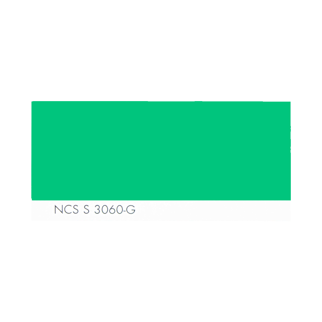 NCS S 3060-G