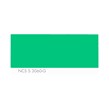 NCS S 3060-G