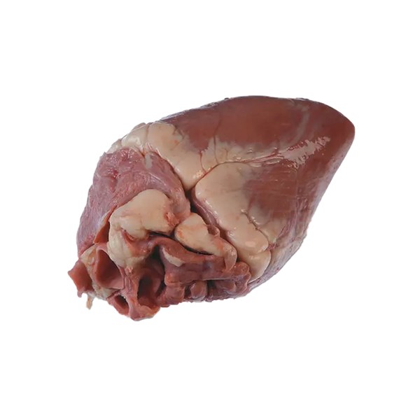 دل تازه گوسفندی درجه یک