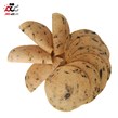 خرید ژامبون مرغ و قارچ خانگی جلز ولز 500 گرمی