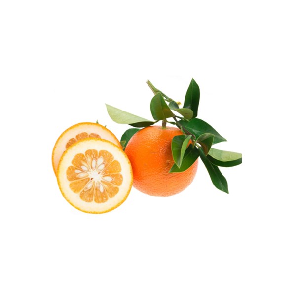 نارنج جنگلی درجه یک 1000 گرمی