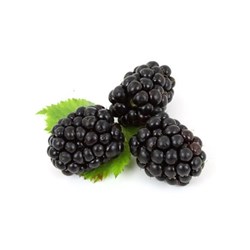 تمشک سیاه ممتاز 220 گرمی