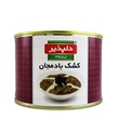 کنسرو کشک بادمجان دلپذیر 482 گرمی