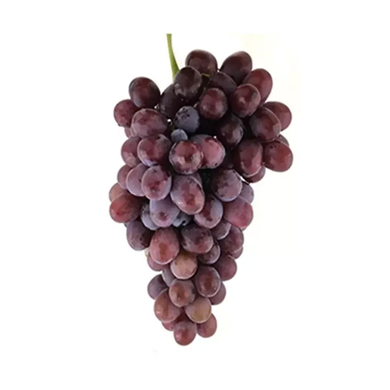 انگور کندری درجه یک - 1 کیلوگرم