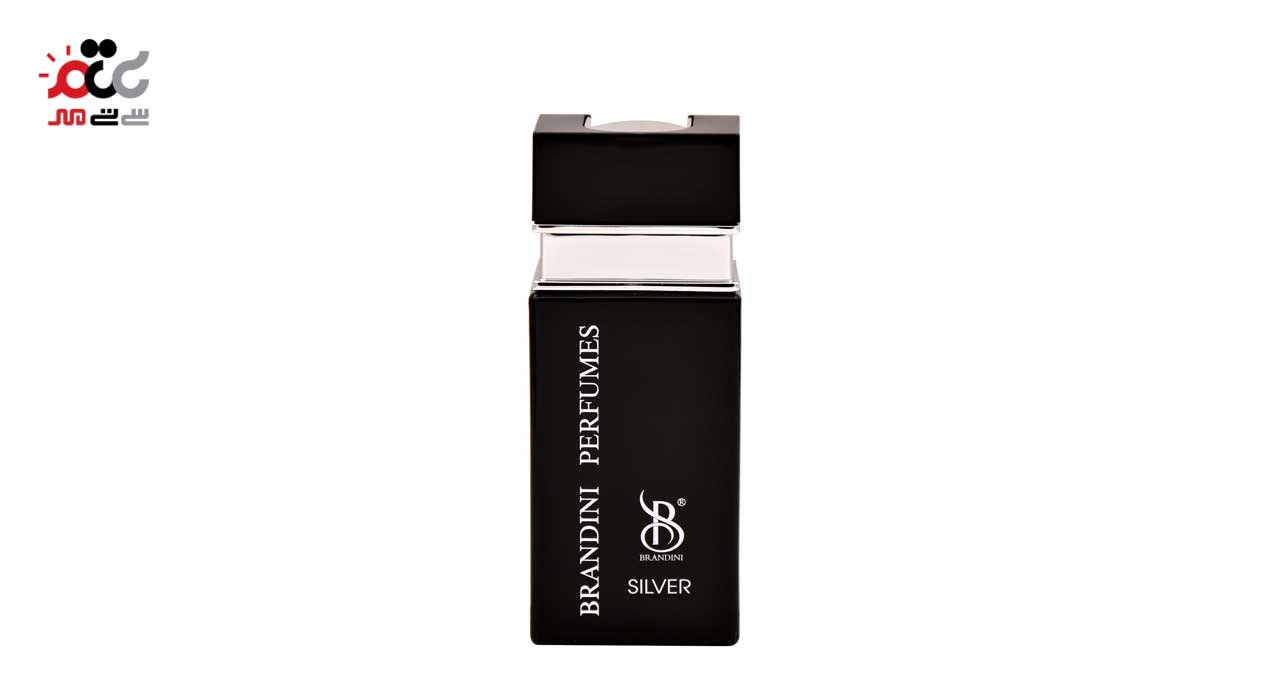 ادکلن مردانه برندینی مدل silver حجم 25 میلی لیتری