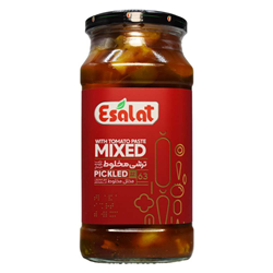 ترشی مخلوط با رب گوجه فرنگی اصالت 570 گرمی