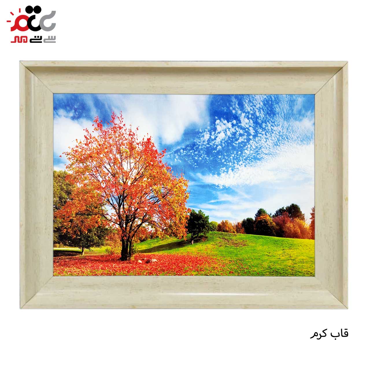 تابلو فرش طرح دار با قاب