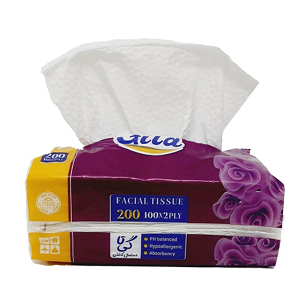 دستمال کاغذی مدل 02 گیتا 200 برگ