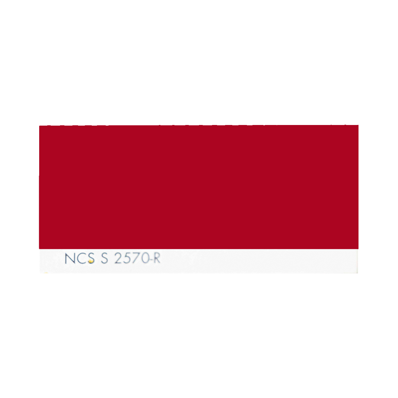 NCS S 2570-R