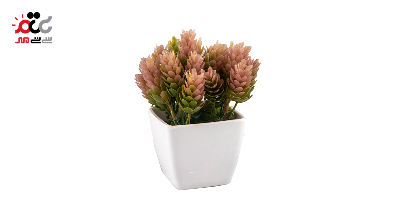 گلدان تزئینی مدل بسته بندی جعبه ای کد 4224