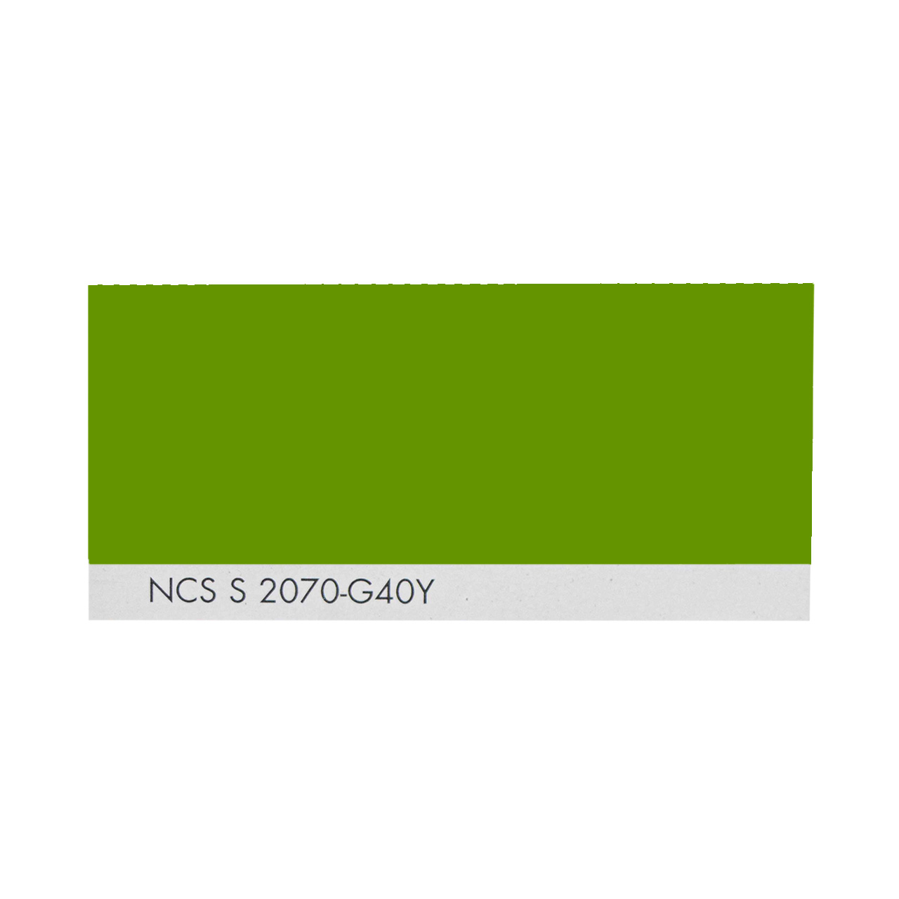 NCS S 2070-G40Y