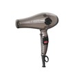 سشوار حرفه ای پرومارون مدل RL-8804