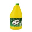 مایع سفید کننده و ضد عفونی کننده وانیلیا مدل Yellow حجم 4000 میلی لیتری
