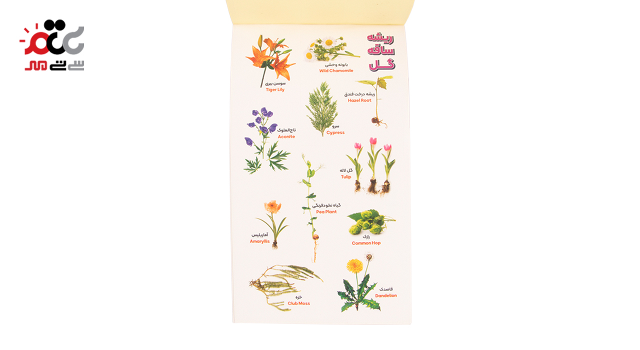 برچسب آموزشی ترنه مدل دفترچه