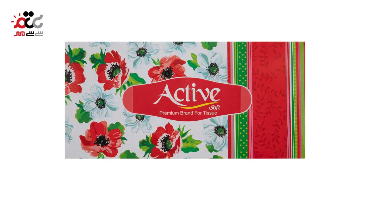 دستمال کاغذی اکتیو 100 برگ دولا