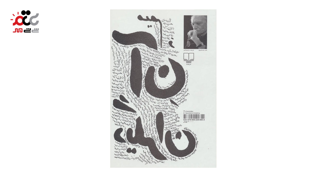 کتاب میم و آن دیگران اثر محمود دولت آبادی