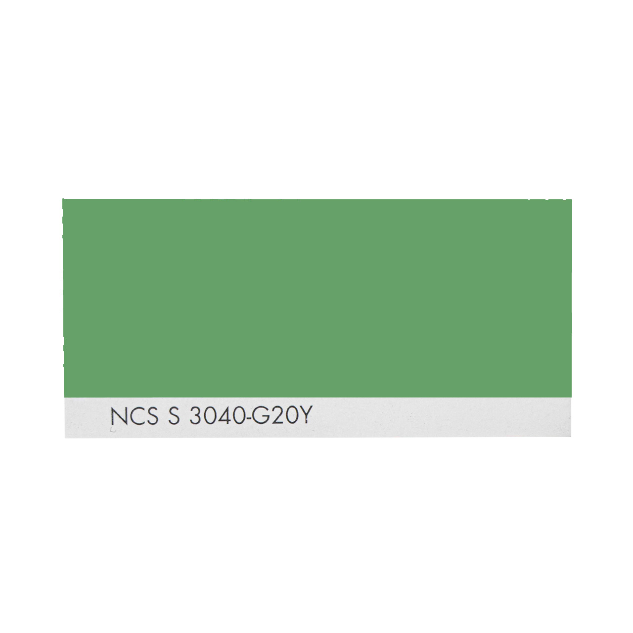 NCS S 3040-G20Y