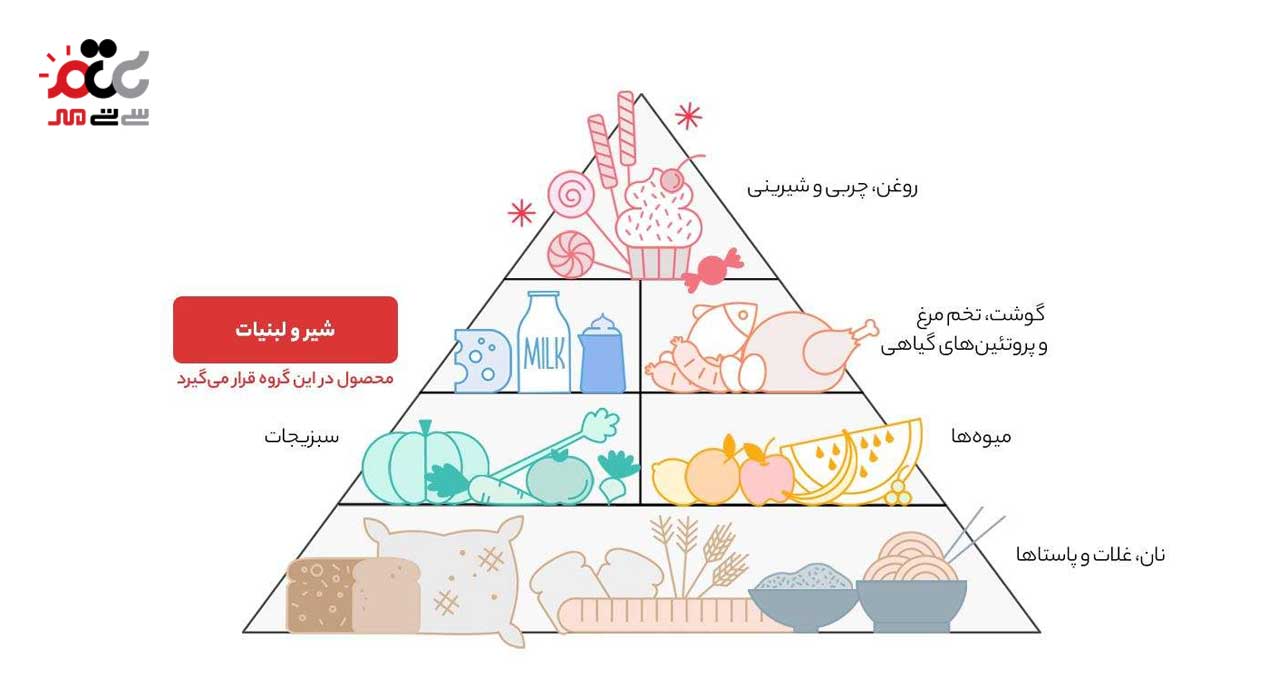 پنیر کم نمک پاک 300 گرمی