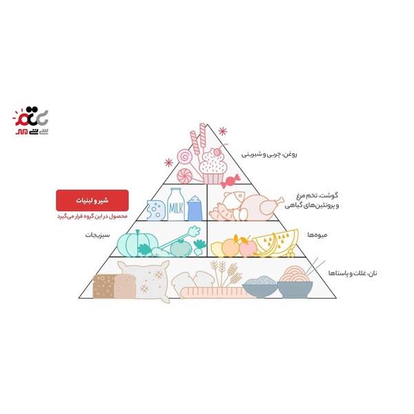 پنیر کم نمک پاک 300 گرمی