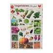 برچسب کودک آموزشی طرح صیفی جات سایز A4  کد 494