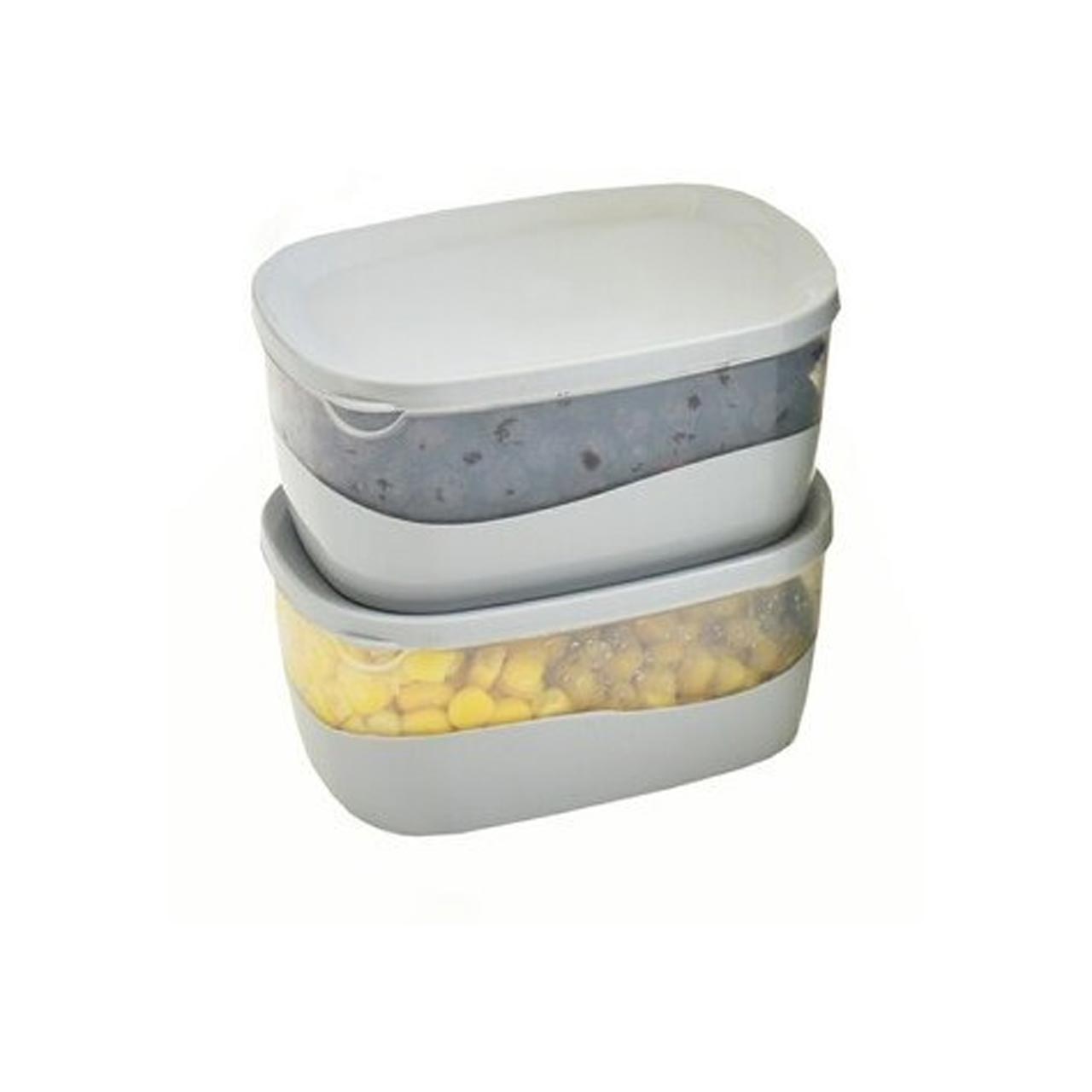 ظرف فریزری اشکان مدل روشا بسته 2 عددی سایز کوچک