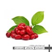 زغال اخته درجه یک 500 گرمی