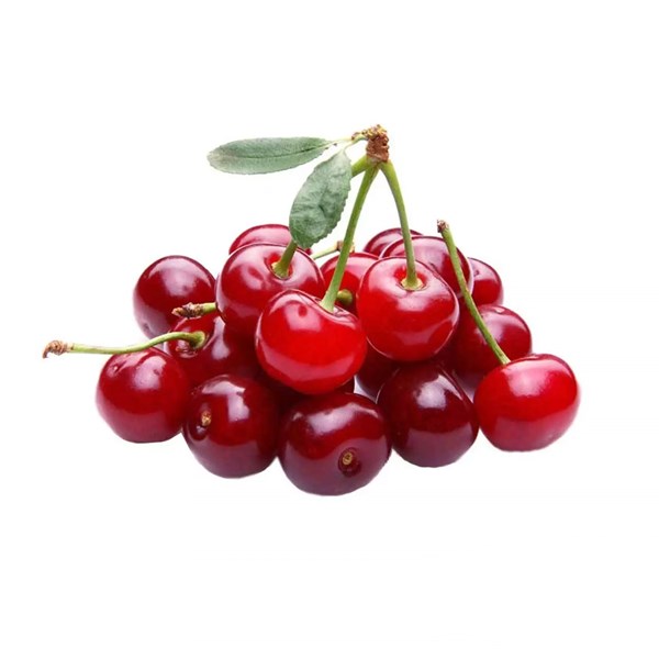 آلبالو جعبه ای  مخصوص مربا- 2.5 کیلوگرم