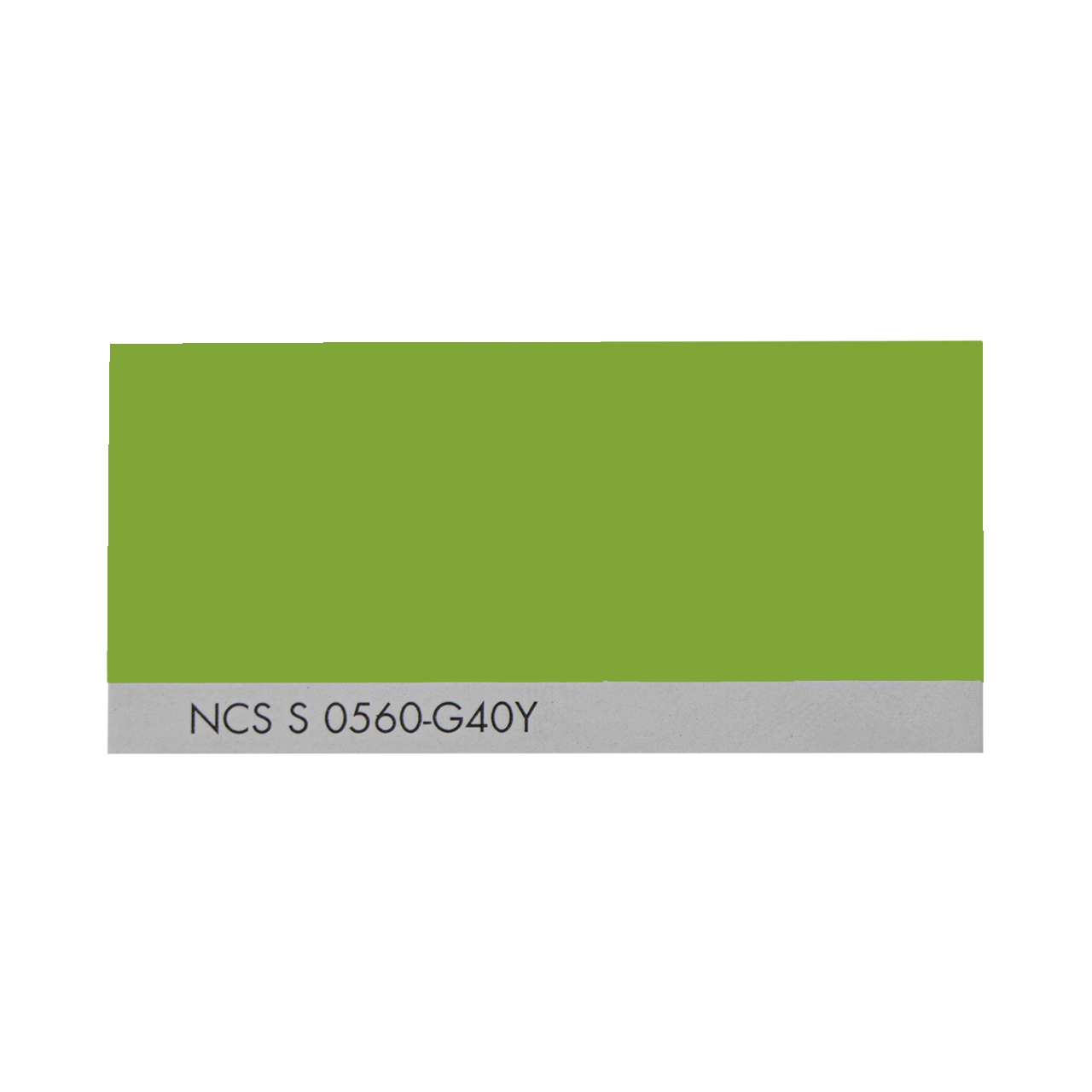 NCS S 0560-G40Y