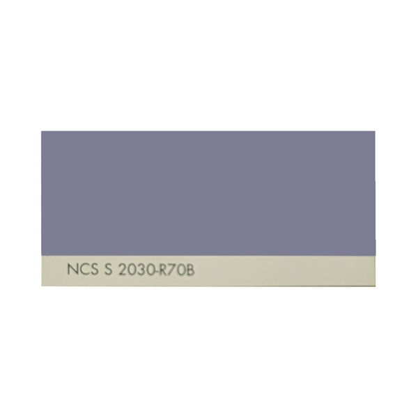 رنگ روغنی سفارشی ساندورا کد NCS S 2030-R70B 1000 گرمی