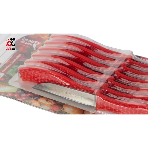 کارد میوه خوری وای اس مدل دسته حصیری بسته 12 عددی کد 4351