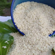 برنج کشت دوم کبیری فله 1000 گرمی