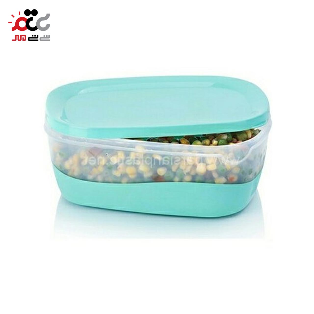 ظرف فریزری اشکان مدل روشا بسته 2 عددی سایز کوچک