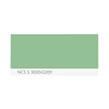NCS S 3030-G20Y
