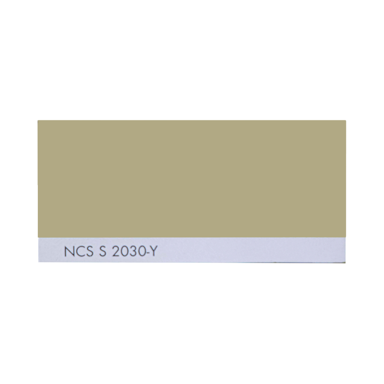 NCS S 2030-Y