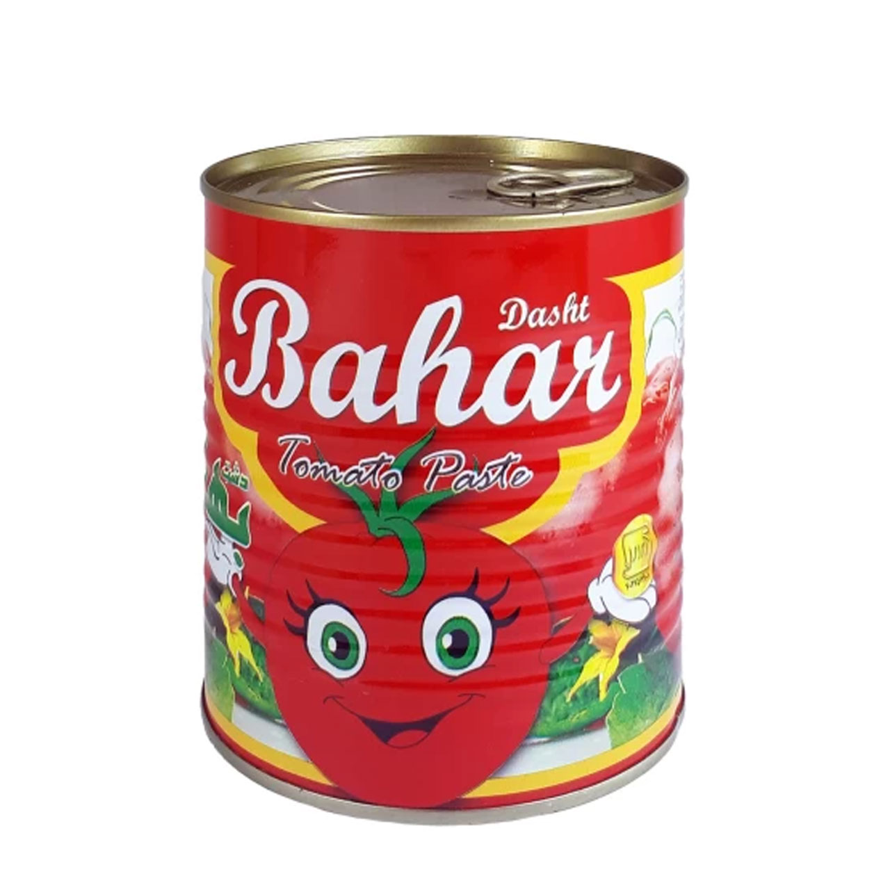 رب گوجه فرنگی دشت بهار 800 گرمی